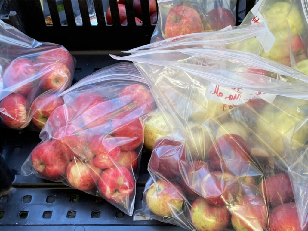 Les échantillons de pommes sauvages.