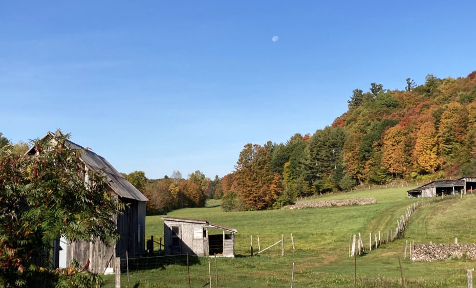Depuis le Chalet de Ripon